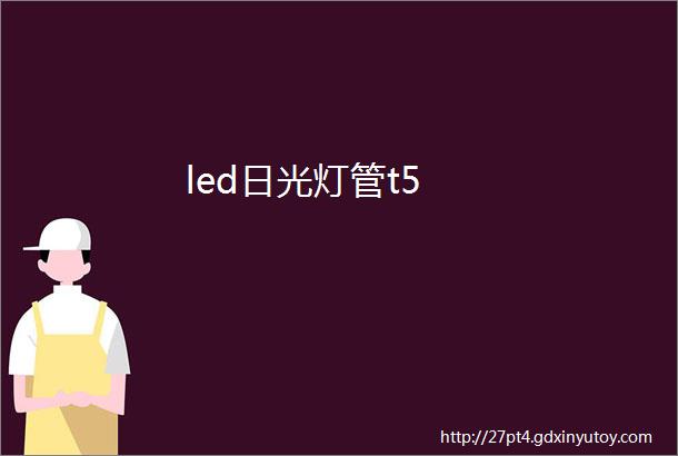 led日光灯管t5